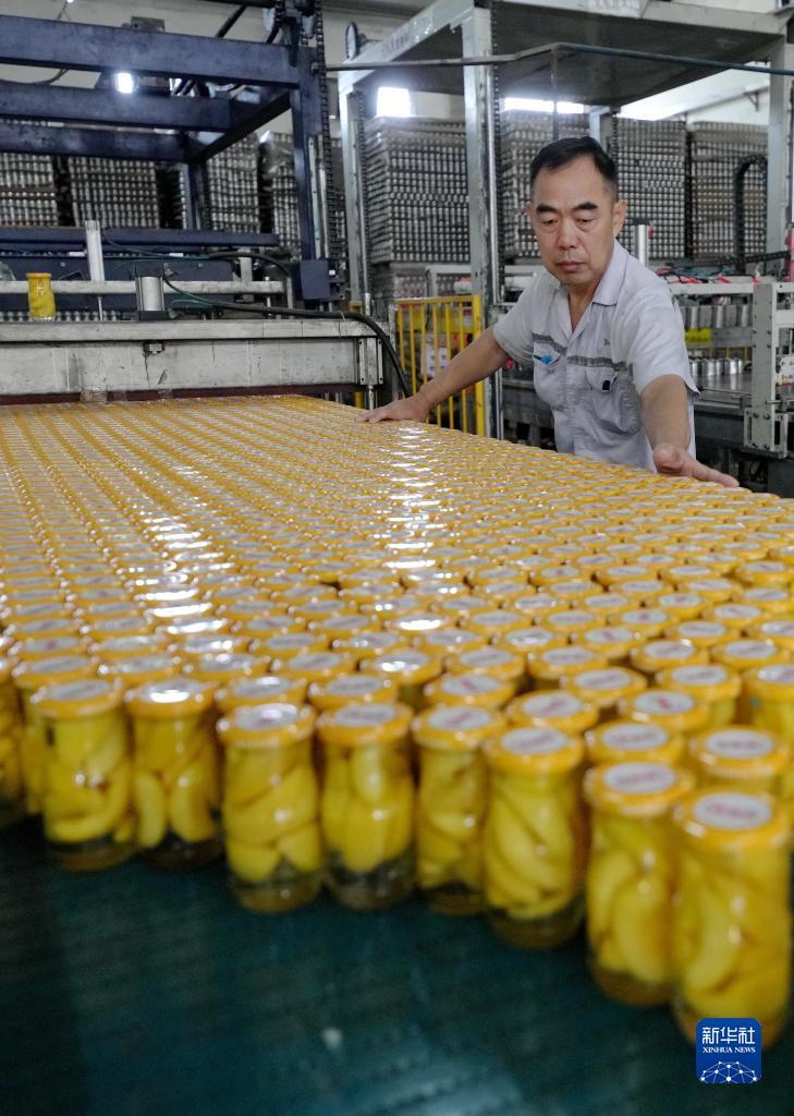 银河网址多少?